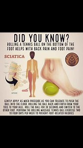 The story of #Sciatica and #tennisball. Do you know this_ The tennis ball presses and treats trigger points in the piriformis #muscle, reduces the muscle #tension and rigidity, improves mobility and improves blood circulation to the area. The tennis ball #therapy is good not only for sciatica, but also for #backpain. The tennis ball acts as a #massage substitute that helps reduce #muscletension and provide relief from lower back #pain in the left side or the right side. It is also one of the bes