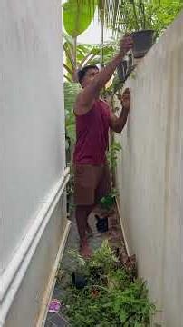 Snake Visit? Time to Clean the Garden! 😅