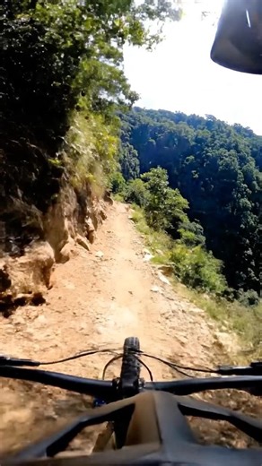 Crazy Dog Rescue! POV Mountain Biking Near Death 🐶🏔️