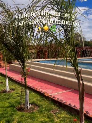 ✨ Vámonos un viernes y regresamos un domingo… porque a veces solo necesitas desconectarte, descansar y disfrutar. 🌿☀️ Tu escapada de fin de semana empieza en Hotel Los Agaves. 🏨💚 ¿Ya tienes con quién? 👀 #LosAgaves #PuebloMágico #Escapada #PlanDeOctubre #relájateydisfruta #TikTokMexico #ReservaYa #HotelLosAgaves #Tepotzotlán #ArcosDelSitio #EstadoDeMéx #foryou #fypp #TikTokMéxico #fyppppppppppppppppppppppp #paratiiiiiiiiiiiiiiiiiiiiiiiiiiiiiiiiii🦋 #fy #fypシ #viral #lugares #lugaresviralesedo