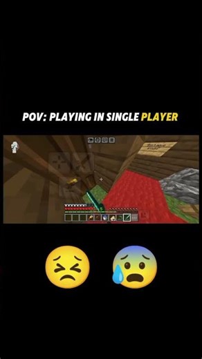 POV: playing in single player #viral #horror #mincraft
