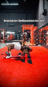 92 reactions · 52 comments | Why be normal when you’ve got greatness coded into your bloodline? You weren’t built to blend in — you were built to BREAK patterns, build legacies, and raise the standard. ❌ Normal is the enemy.  Legacy is the mission.  And YOU are the turning point. #gymmotivation#fitnessjourney#fitness#foryoupage#fyp#trendingreels#viral | Allways Flamen | Facebook