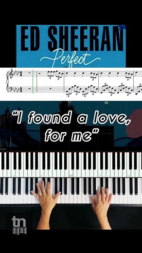 Theory Notes on TikTok