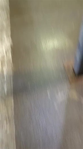 Ultimate Guide to Train Spotting for Railway Enthusiasts