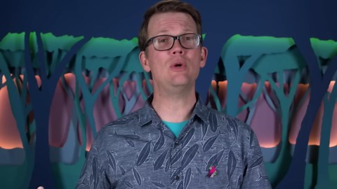 Is this weird animal our closest relative?