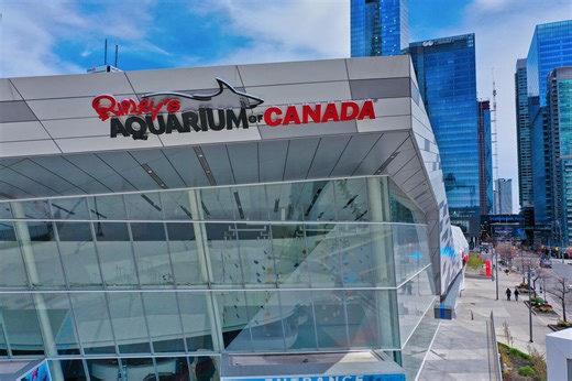 Why the U.S. trade war with Canada is helping Toronto tourism