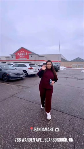 Panda Mart Scarborough 🛍️ Budget finds, trendy stuff, mixed quality.