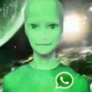 Whatsapp alien