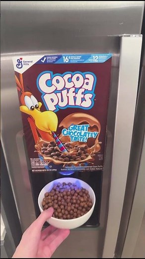 Cocoa Puffs Cereal Fridge