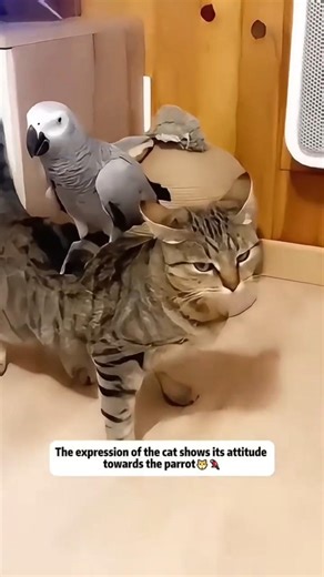 CORE_BEAST : Unit_Avian // POV: The simulation has a sense of humor 📂🐦📡 (ENTRY_XXIV)