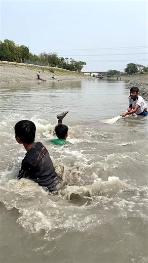 Saw the giant fish rise… instincts kicked in, net went straight into the river..!#castnetfishing