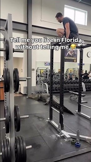 🐊 Alligator 🐊 Florida Gym room Personal Trainer Massive get a full workout 鱷魚 健身房 13 feet