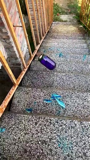 Satisfying Bottle Breaking Compilation