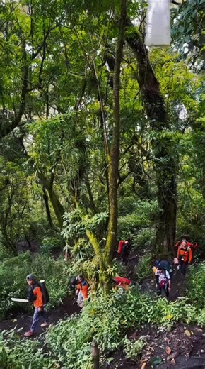 Trimakasih Tuhan aq bisa kembali k rmh dengan Selamat dr Gunung Slamet..Gunung Slamet kmaren isinya Tim SAR pencarian korban pendaki hilang via jalur Dipajaya yg bernama adik Syafiq..Alhasil otak ikut kerja krn rasa peduli..Badan drop tiba