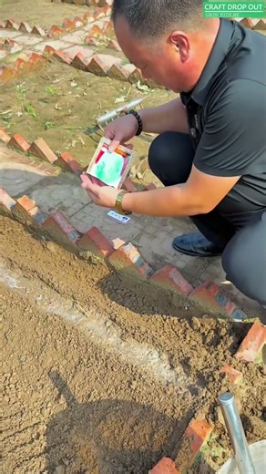 Cabbage Seed Planting Made Easy #plants #shorts