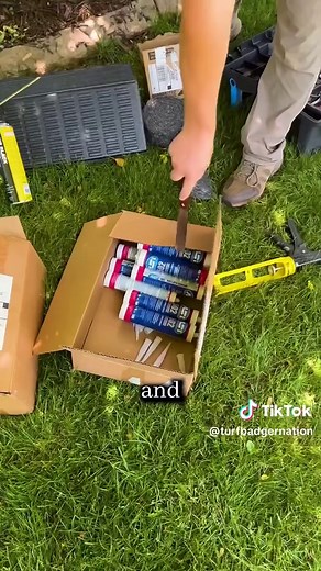 Bats in Your House? Effective Removal Tips!