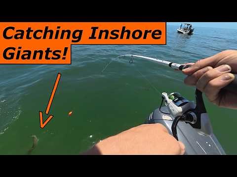 Chasing MONSTER Fish In Cedar Key! 2026 Florida Fishing