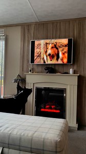 2.6K views · 1.3K reactions | Barney is so happy that Lassie escapes and goes home to the boy. #reaction #lassie #Reqct | Stephen Kelleher | Facebook