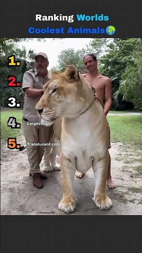 🔥 Coolest Animals in the World! 🌎 🐾