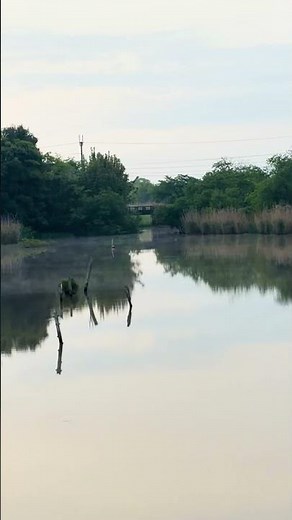 水郷のりば⁉️分かります『剣客商売..まこと 翁 と おしん さん op』 あたり 近江八幡市 西の湖 滋賀県🌅早朝 日の出☀️気持ちいい散策🥴⏳2026.4/28.火.5:35-5:45.🚣