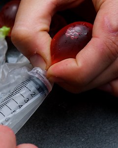 Putting Jelly On Weird Objects | Crafty Panda How