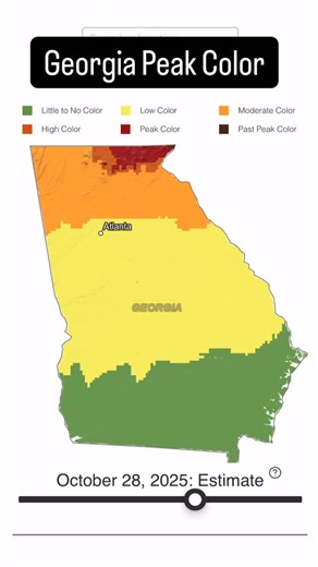 Merrit l Helping families plan trips & activities in the SE on Instagram: "🍁You haven’t missed it yet! There is still time to see gorgeous fall color in Georgia! I love this interactive prediction map from Explore Fall to get an idea of where and when peak foliage will be. These next few weekends should be amazing, although very busy. Happy leaf peeping 😀 Fall in Georgia | Fall prediction map | Leaf Peeping | Peak Color"