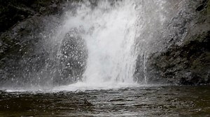 Spring Water, Water Flow, Waterfall. Free Stock Video