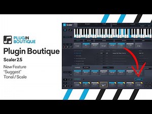 Scaler 2.5 - New Suggest Feature is MIND BLOWING!!