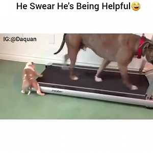 749K views · 7.1K shares | DMX on Reels | Facebook