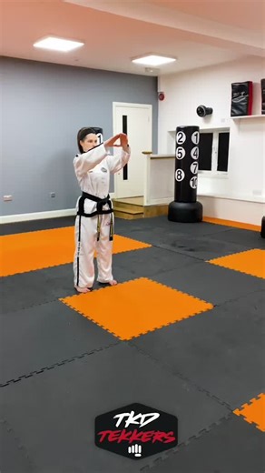 Exploring TUL Techniques in Taekwondo