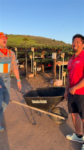 Strawberries, snap peas, and celery, oh my! 🍓 Blippi's friend Farmer Kenny shares what it's like to work on Tanaka Farms in this super-speedy job tour. | Blippi