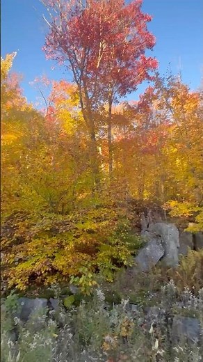 Exploring the Scenic Trails of Mont Tremblant 🍁⛰️ - #monttremblant #quebec #canada #fallcolors