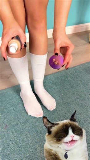Party in My Socks: The Ultimate Chill Vibe 🤣