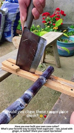 DIY Sugarcane Cutter – Fast Slicing with a Homemade Tool 🍬🔧