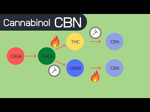 What is Cannabinol (CBN)? Where does it come from? What does it do?