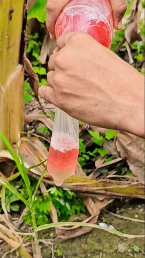 Amazing Bottle Experiment with Red Liquid | DIY Science Trick #experiment #shots