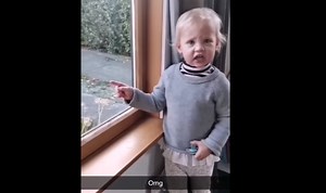 This Hilarious Video of Toddler's Sweary Reaction to a Goat in Her Yard Goes Viral - Go Ask Mum