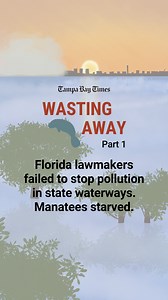 6K views · 17 reactions | For nearly a half-century, Florida...