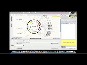 Class4: Primers, PCR, and Mutagenesis || SnapGene