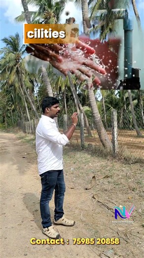 Low Budget Coconut Form for Sale - Suchindram#nagercoilrealestate #farmlandsale