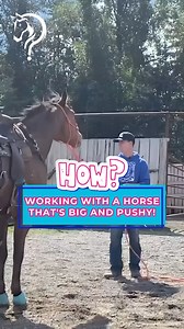 217K views · 2.3K reactions | Working With A Horse That Is Big And Pushy!  Get their undivided attention Want Help With Your Horse? Comment Or DM Us The Word "HELP" To Get Started! #horsetraining #horse #horsetrainer #equestrian #traininghorses #horses #horsehelp #ridinghorses #horsehelp | Horse Help With Michael Gascon | Facebook