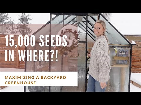 Maximizing greenhouse space in our small backyard greenhouse!