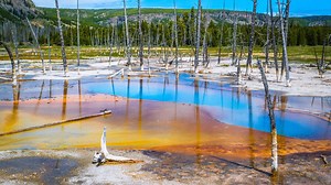 1.6K views · 197 reactions | Yellowstone, Yellowstone National Park, Wyoming, USA , USA road trip, Yellowstone geysers, Yellowstone Caldera. https://youtu.be/qgFm_l8VUxY | Just Drive America | Facebook