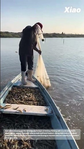 Shrimp Fishing with A Cast Net: A Day of Cast Netting and Collecting the Catch