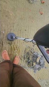 Detectorismo Lagoa dos Patos MD- 4030