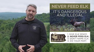 Visiting Pennsylvania’s Elk Country has become an annual tradition and a regular trip for thousands of people from near and far, especially this time of year during the rut, which typically begins in September and carries through October. #ELKSMART provides four simple and effective ways that all elk viewers can ensure the wild essence of the elk remains for generations to come. 🎥[Watch the video to learn more]. 1️⃣ Give elk space. At least 100 yards. 2️⃣ Never feed elk. It's dangerous and ille