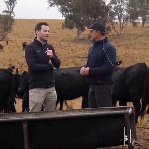 159 reactions · 4 comments | Want to learn tips on marketing and branding? Watch episode 2 of Business Class: The Series, Marketing: Mission & Metrics. | American Express | Facebook