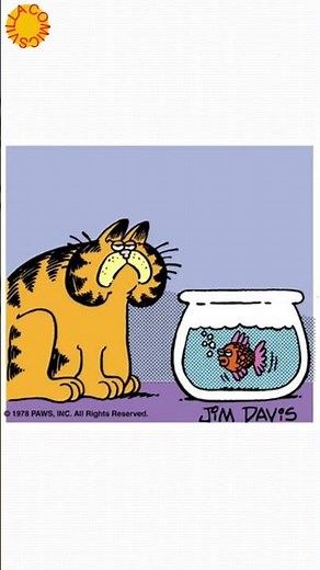 Garfield: Call it Ethnic Weakness