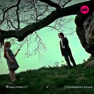 143K views · 3.6K shares | La triste historia de SEVERUS SNAPE... No voy a llorar  Video créditos: OkChicas | Plataforma Geek | Facebook