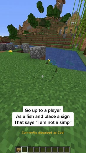 #minecraft #captainlights #minetale